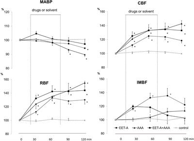 Early Renal Vasodilator and Hypotensive Action of Epoxyeicosatrienoic Acid Analog (EET-A) and 20-HETE Receptor Blocker (AAA) in Spontaneously Hypertensive Rats